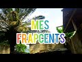 Fabrice le gang  mes frapcents