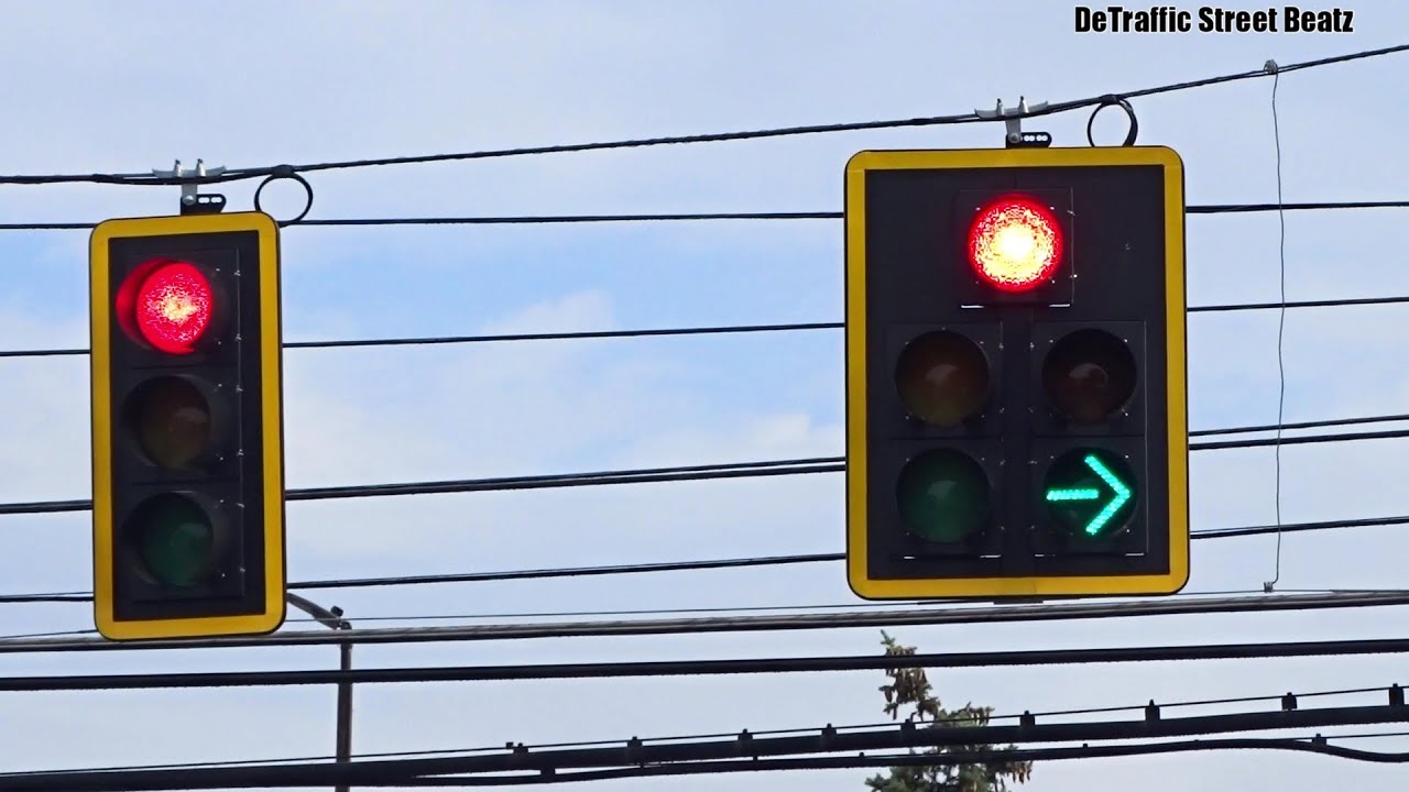 Black Dog House Econolite Traffic Lights | 12 Mile & Bunert