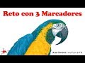 RETO CON 3 MARCADORES - Una guacamaya