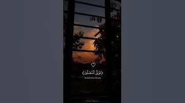 قران كريم القاريء عبدالرحمن مسعد | أرأيت الذي يكذب بالدين #قرآن #قران_كريم #انستقرام #دينيه #حالات