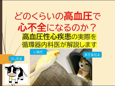 どのくらいの高血圧で心不全になるのか？(高血圧性心疾患の実際を心不全基礎から循環器内科医が解説します)