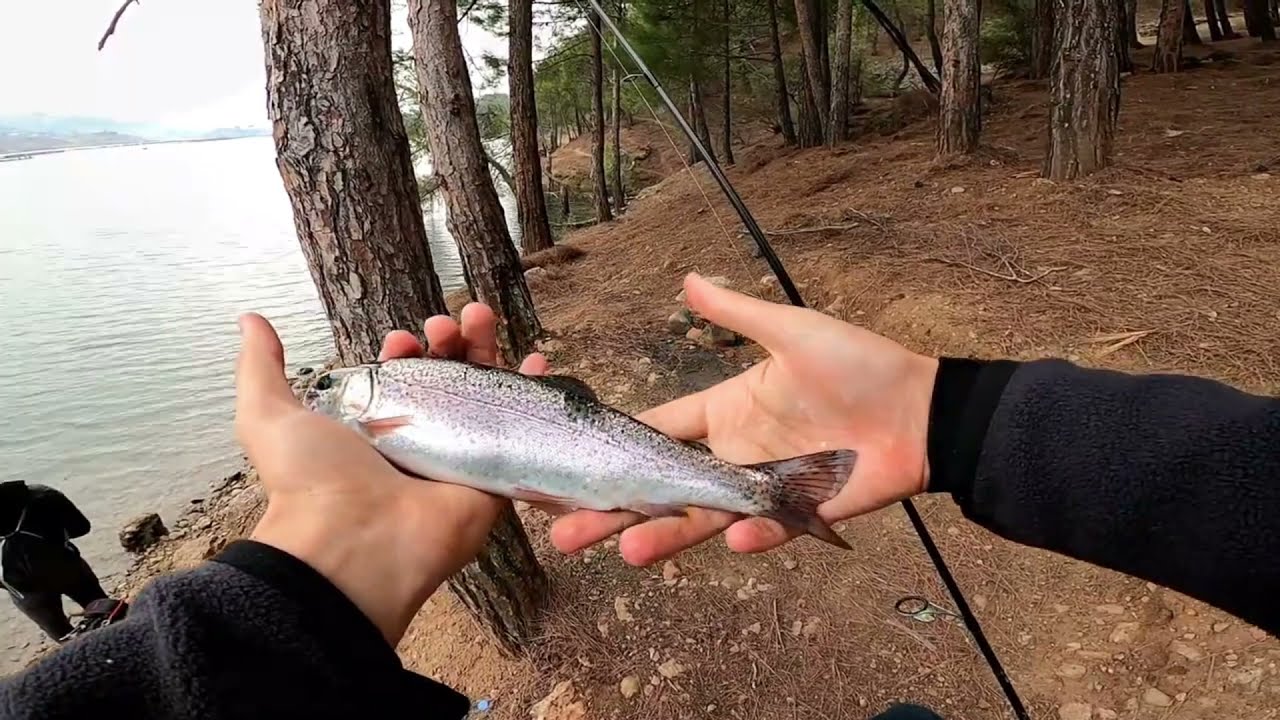 ALABALIK AVI KAHRAMANMARAŞ | Trout Fishing