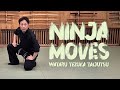 Ninja moves  bujinkan honbu dojo wataru tezuka taijutsu