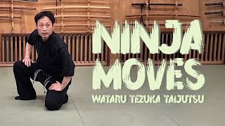 Ninja Moves  Bujinkan honbu dojo Wataru Tezuka Taijutsu