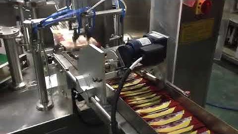 8 working station bagging machine operation video from Wilpac
