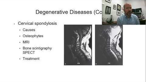 Comparative Pathology - CNS