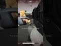 Delta Force|除染車、大好き