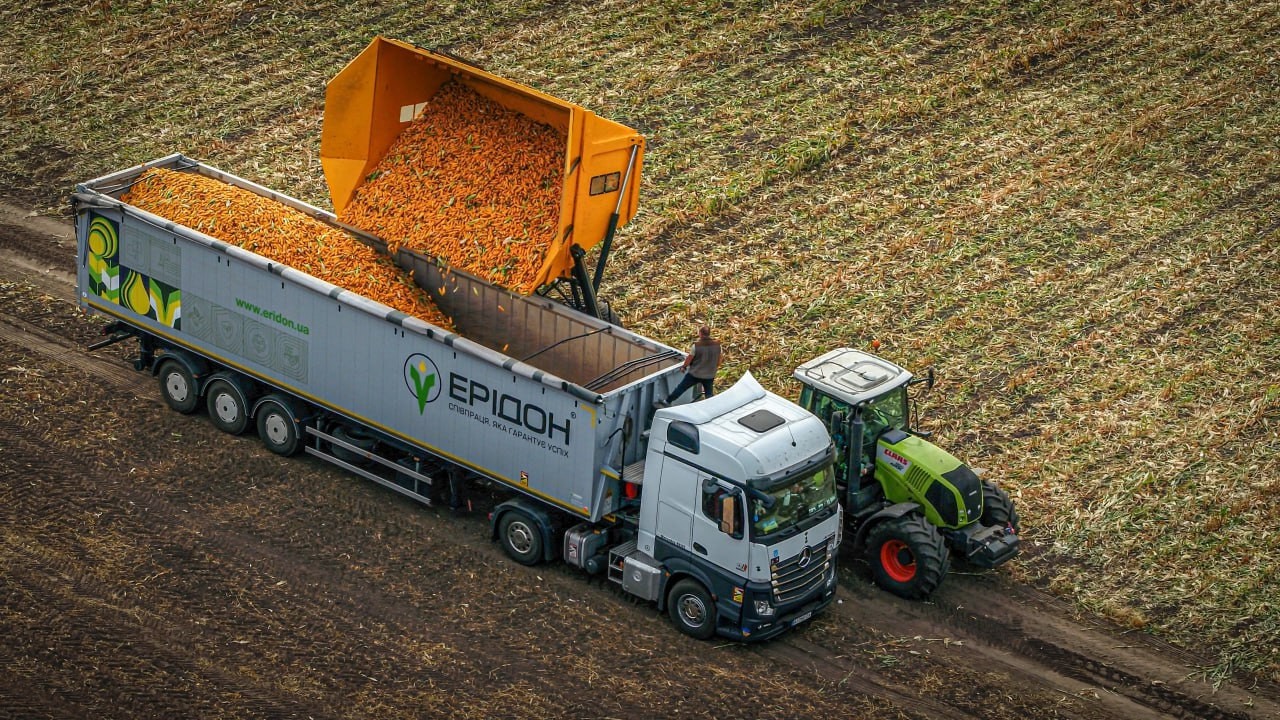 Збирання насіннєвої кукурудзи IFAGRI та доробка насіння на заводі "Лімері"