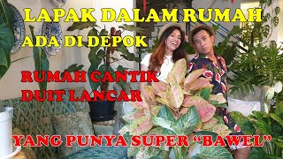 Download Lagu TANAMAN HIAS DALAM RUMAH MINIMALIS MP3