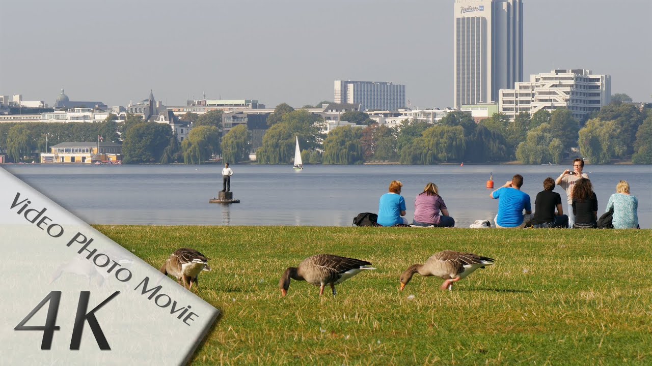 Hamburg, Germany: Außenalster, Alsterwiese Schwanenwik, Kuhmühlenteich - 4K UHD Video