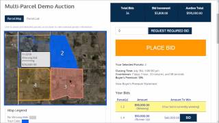 MultiPar Page Overview - MultiPar Tutorials - Platinum Bid Auctions