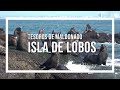 Tesoros de Maldonado, Isla de Lobos - programa Contacto