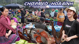 Chợ phiên Pà Cò đặc sắc của người Mông ở Mai Châu-bắt gặp Sóc bụng đỏ nhưng giá quá cao