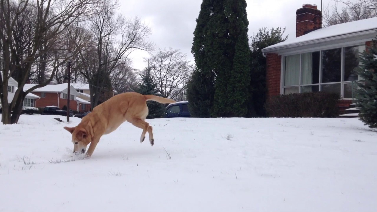 early march - original song and music video