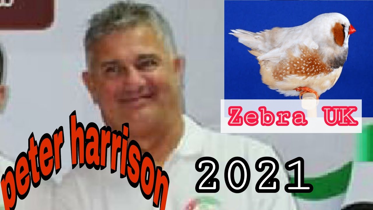 peter harrison breeding season 2021 - YouTube