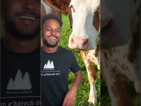 Wie antwortet man auf: „ Wem g’härsch du?!“