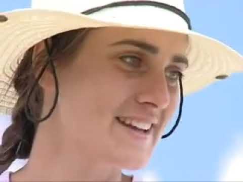 Бялото братство Темата на Нова, 2011г