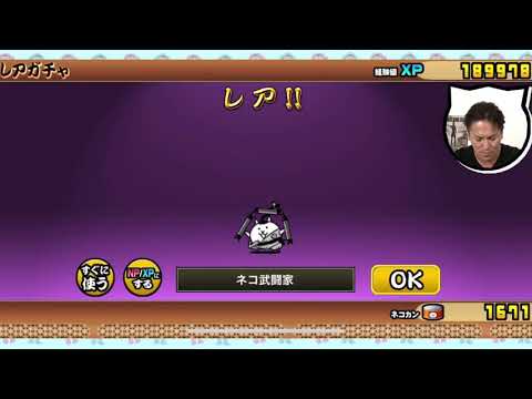 【にゃんこ大戦争】狩野英孝さんがガチャ爆死して棺桶に入れられてしまう。。