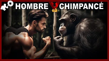 ¿Podría un humano luchar contra un chimpancé?