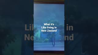 New Zealands Crazy Weather comedy youtubeshorts viral funnys newzealand