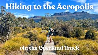 Hiking Pine Valley & The Acropolis Summit - 3 Days, 70km on the Overland Track | Tasmania
