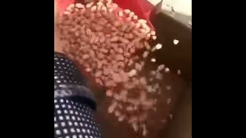 peanut sheller machine 5