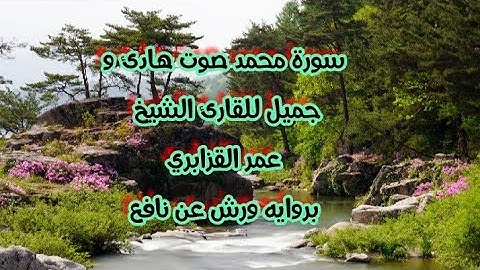 Surat Mohamed سورة محمد صوت رائع للقارئ عمر القزابري