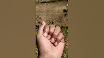 grasshoppers are strong and tough 😠