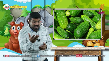 KITE VICTERS STD 03 Arabic Class 04 Part 02 (First Bell-ഫസ്റ്റ് ബെല്‍)