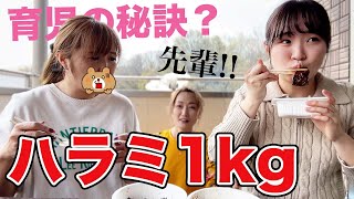 みみねぇ育児お疲れさま‼️姉の大好物ハラミ1kgで接待しながらいろいろ聞いてみた‼️