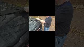 Easy Bug Deflector Install on 2025 Ram 1500!