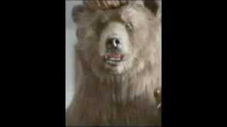 Just For My Pal Larry The Lamb