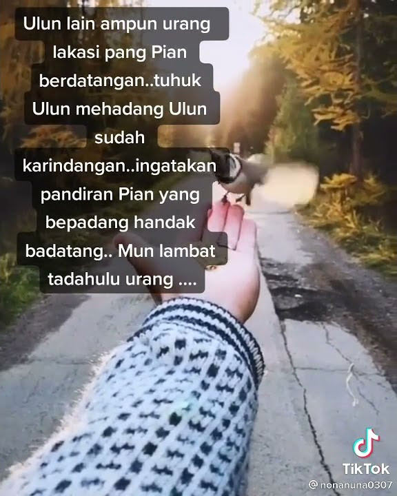 Lagu Banjar Ulun Hadak lawan pian & Ulun lain ampun orang | versi wanita