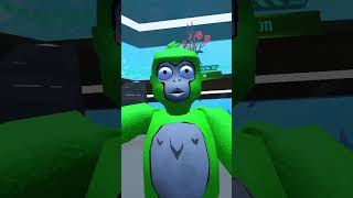 Stupid underwater monkey #funny #Monkey #Water #Ocean #Goofball #Subscribe