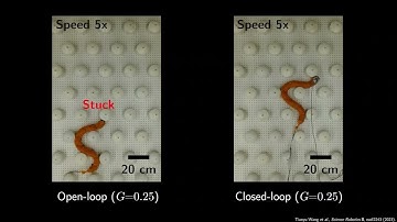 Mechanical Intelligence -- Supplementary Movie S6