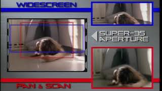 Super 35 video transfer demonstration (Terminator 2)