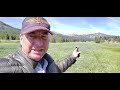 Bonanza Crash Sulphur Creek Idaho