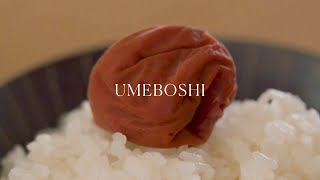 Umeboshi 🍑 Japanese pickled plums
