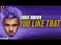 Chris Brown You Like That Lyrics Chris Brown You Like That Lyrics