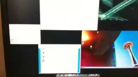 Snow leopard and windows 7