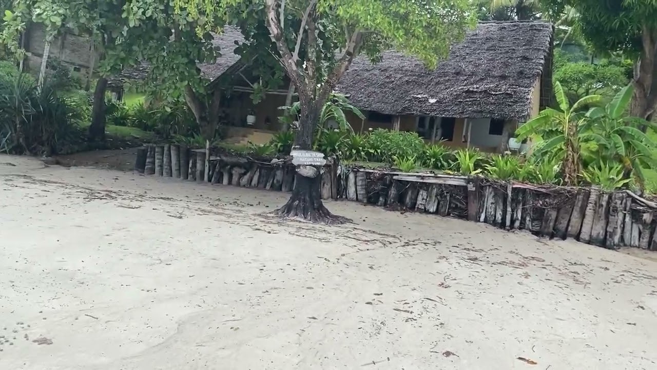 Полное разочарование дайвингом на острове 'Мафия".Полнейший ОТСТОЙ,Африка,Танзания,Январь2022