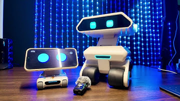 When Looi Met Yonbo - fun times 