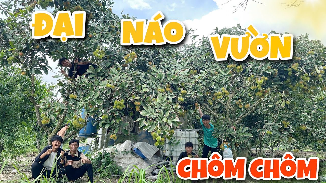 Anh Ba Phải | Đại Náo Vườn Trái Cây