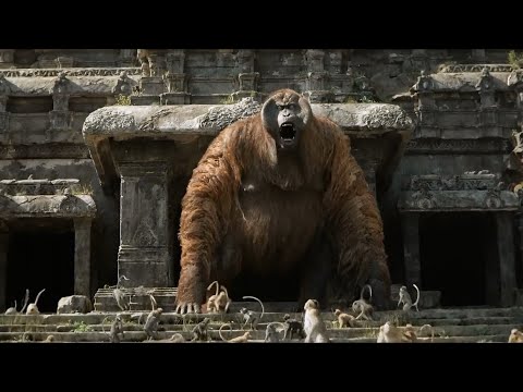 Video: Er king louie en gigantopithecus?