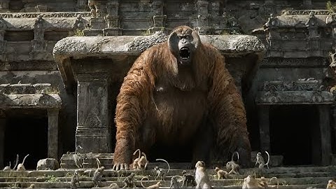 The Jungle Book (2016) Wrath of the King Lou