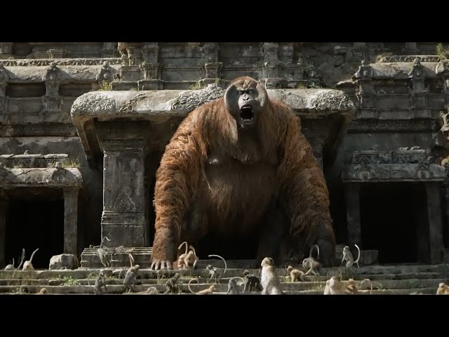 El Libro de la Selva (The Jungle Book), Escena: 'Hibernación