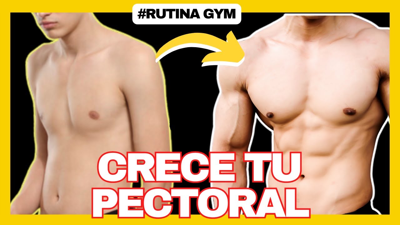 Los MEJORES EJERCICIOS para PECHO en el GYM | Rutina de Pecho efectiva ...