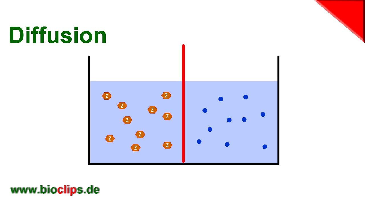 Stable diffusion attention. Stable diffusion картинки. Stable diffusion icon. Stable diffusion мультяшный. Unstable diffusion.