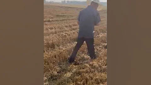 风起云涌79:以行动抗争!自己的土地不是市里乡里出个文发个微信就能没收的!土地是我们每一个村民小组成员的,怎么就能成了集体土地?!村委或更大的来也没用,收了麦子种豆子!想干啥干啥(230610.04) - 天天要闻