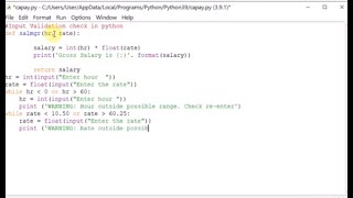 Input validation check in Python